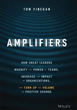 Tom Finegan Amplifiers обложка книги