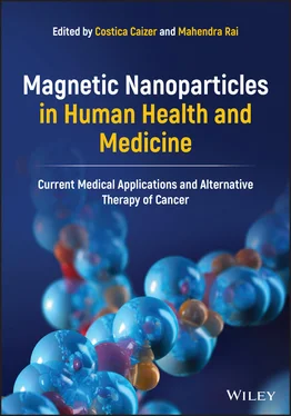 Неизвестный Автор Magnetic Nanoparticles in Human Health and Medicine обложка книги