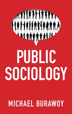 Michael Burawoy Public Sociology обложка книги