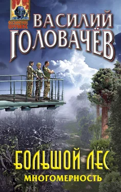 Василий Головачев Большой лес. Многомерность обложка книги