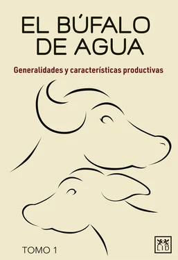 Eduardo Luis Maitret Collado El búfalo de agua Tomo 1 обложка книги