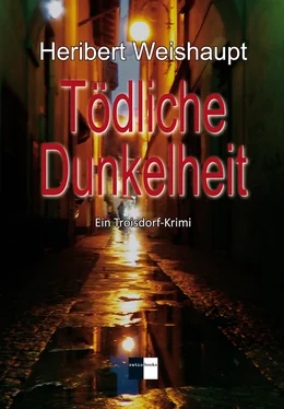 Heribert Weishaupt Tödliche Dunkelheit обложка книги
