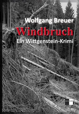 Wolfgang Breuer Windbruch обложка книги