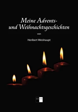 Heribert Weishaupt Meine Advents- und Weihnachtsgeschichten обложка книги