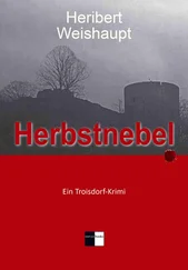 Heribert Weishaupt - Herbstnebel
