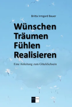 Britta Irmgard Bauer Wünschen Träumen Fühlen Realisieren обложка книги