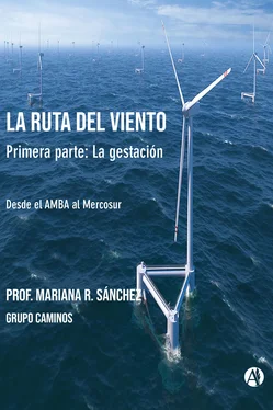 Mariana R. Sánchez La ruta del viento обложка книги
