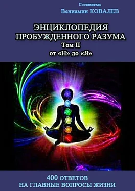 Array Коллектив авторов Энциклопедия пробужденного разума. 400 ответов на главные вопросы жизни, Том II от «Н» до «Я» обложка книги