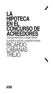 Ricardo Cabanas Trejo La hipoteca en el concurso de acreedores обложка книги