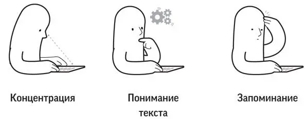 Помехи и необходимость отвлекаться отнимают у вас в среднем 21 часа в день - фото 3