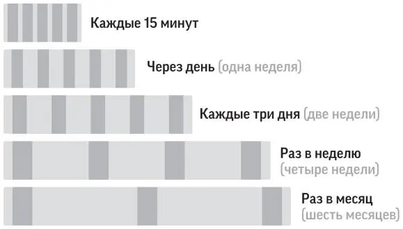 Пример расписания повторного изучения материала Не обязательно следовать ему - фото 45