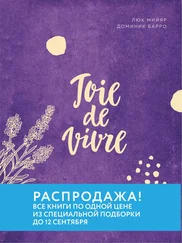 Люк Мийяр - Joie de vivre. Секреты счастья по-французски