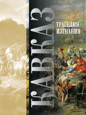 Array Сборник Кавказ. Выпуск XVIII. Трагедия изгнания обложка книги