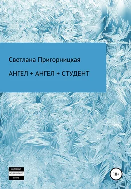 Светлана Пригорницкая Ангел + ангел + студент обложка книги