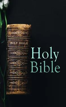 The Bible Holy Bible обложка книги