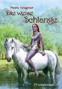 Petra Wagner Die weise Schlange обложка книги