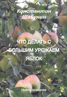 Константин Шабунин Что делать с большим урожаем яблок? обложка книги