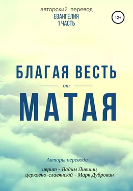 Вадим Лившиц Благая весть от Матая (перевод Евангелия) обложка книги