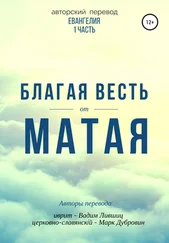 Вадим Лившиц - Благая весть от Матая (перевод Евангелия)