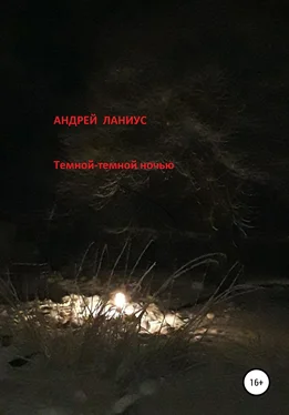 Ланиус Андрей Темной-темной ночью… обложка книги