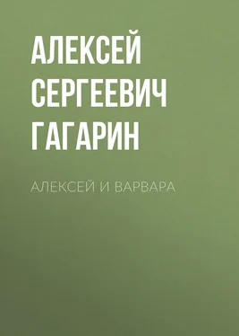 Алексей Гагарин Алексей и Варвара обложка книги