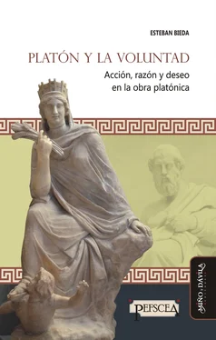 Esteban Bieda Platón y la voluntad обложка книги