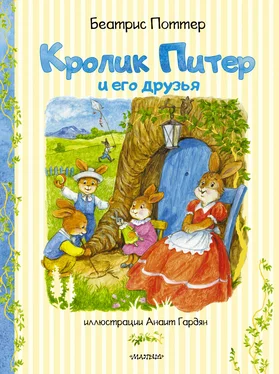 Беатрис Поттер Кролик Питер и его друзья обложка книги