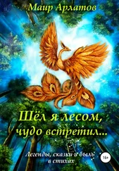 Маир Арлатов - Шёл я лесом, чудо встретил
