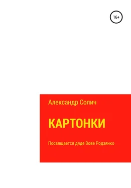 Александр Солич Картонки обложка книги