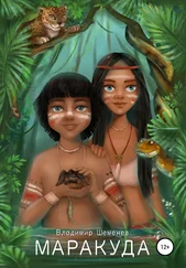 Владимир Шеменев - Маракуда