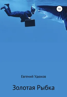 Евгений Удюков Золотая рыбка обложка книги