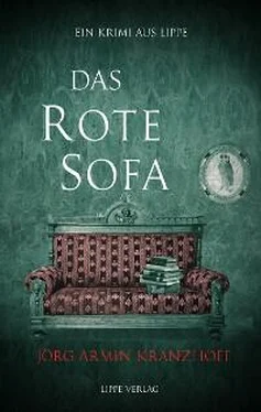 Jörg Armin Kranzhoff Das Rote Sofa обложка книги