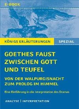 Sven Jacobsen Goethes Faust zwischen Gott und Teufel обложка книги