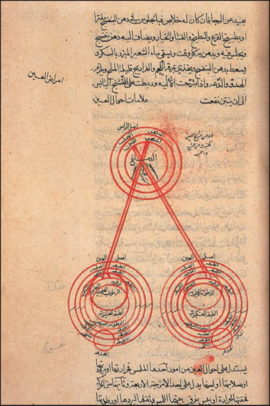 A page from the book on ophthalmology by Ibn alNafis PREFACE Anatomical - фото 4