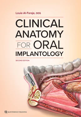 Louie Al-Faraje Clinical Anatomy for Oral Implantology обложка книги