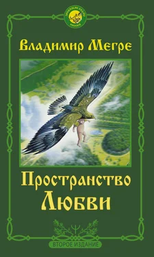 Владимир Мегре Пространство любви обложка книги