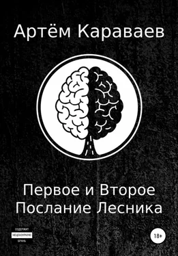Артём Караваев Первое и Второе Послание Лесника обложка книги