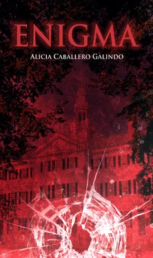 Alicia Caballero Galindo Enigma обложка книги