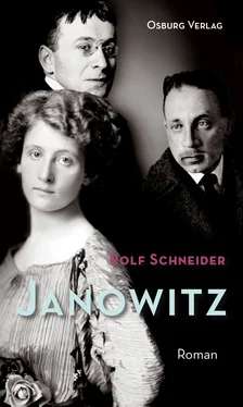 Rolf Schneider Janowitz обложка книги