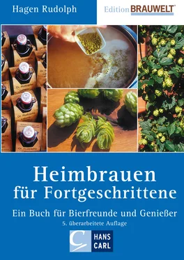 Hagen Rudolph Heimbrauen für Fortgeschrittene обложка книги
