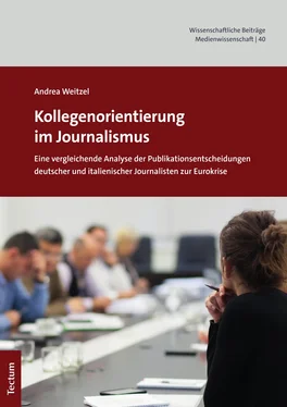 Andrea Weitzel Kollegenorientierung im Journalismus обложка книги
