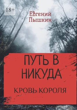 Евгений Пышкин Путь в Никуда. Кровь короля обложка книги