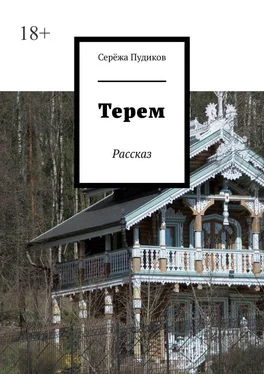 Серёжа Пудиков Терем. Рассказ обложка книги