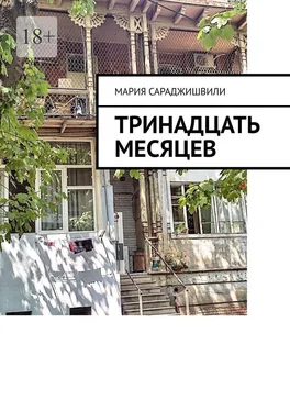 Мария Сараджишвили Тринадцать месяцев обложка книги