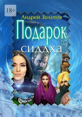 Андрей Золотов Подарок сиддха обложка книги