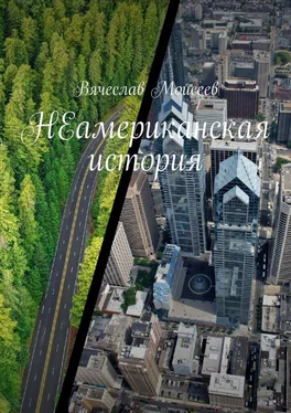 Вячеслав Моисеев НЕамериканская история обложка книги