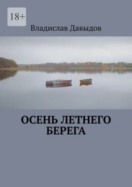 Владислав Давыдов Осень Летнего Берега обложка книги