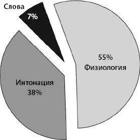 Сегменты коммуникации Самый большой кусок пирога это физиология или язык - фото 15