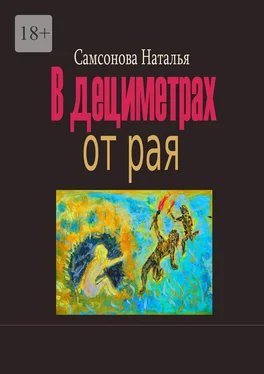 Наталья Самсонова В дециметрах от рая обложка книги