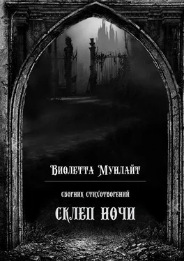 Виолетта Мунлайт Склеп ночи. Сборник стихотворений обложка книги